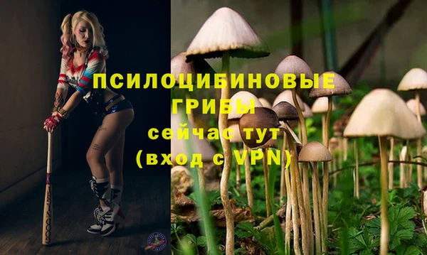 apvp Нязепетровск